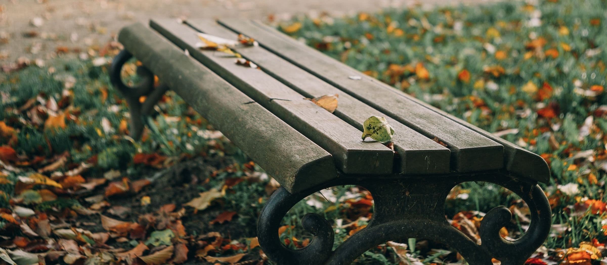 A wooden park bench scattered with fallen autumn leaves